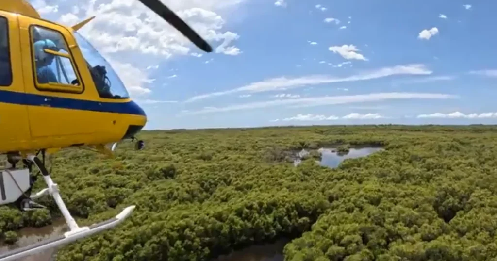 aerial mosquito sprays