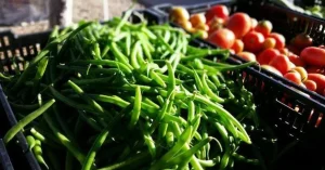 Jan Powers Farmers Markets